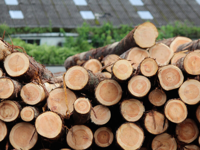 林業・木材業界の最重要単位「立米単価」はあくまで体積あたりの価格でしかないので使い方に要注意