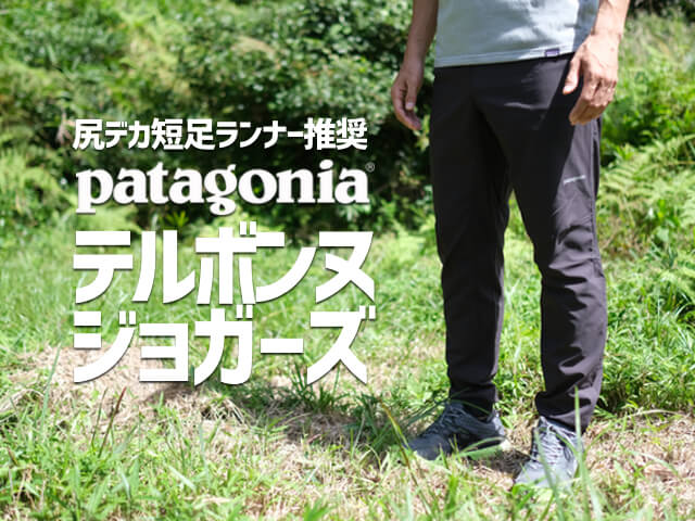 Patagonia/パタゴニア テルボンヌジョガーズ ショッピング特売中