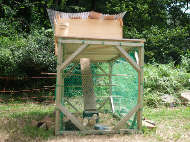 ニワトリ用 鳥小屋の作り方】木材で飼育小屋を簡単DIYし獣対策の電気柵 