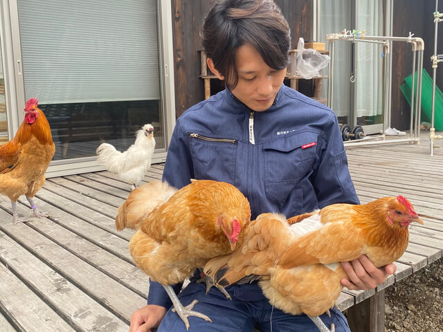 半家畜 半ペット 飼育し始めて知ったニワトリ10の生態 家庭養鶏 Hadatomohiro