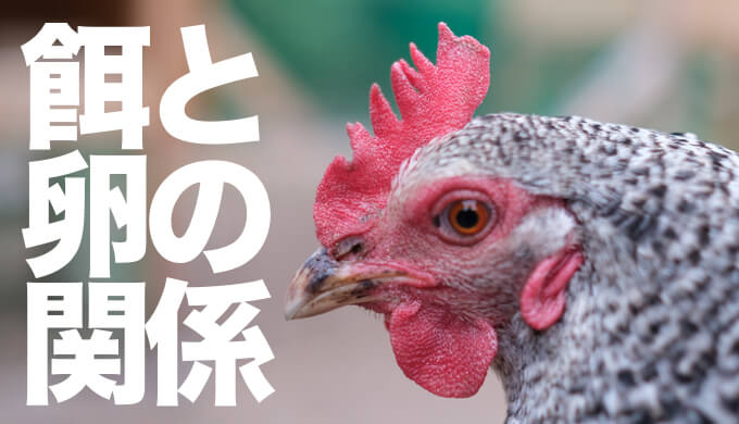 脱ニワトリ餌依存 米ぬか 野菜くず 山菜 魚 ジビエ 半ペット半家畜の養鶏飼料考察 Hadatomohiro